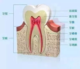 牙髓炎能自愈吗