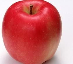 肠胃型感冒能不能吃苹果