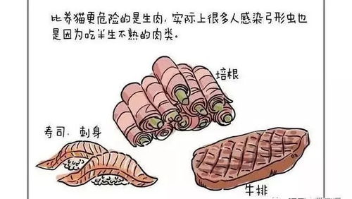 备孕需要做弓形虫检查吗