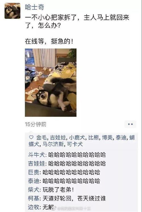 夜班发的朋友圈短句