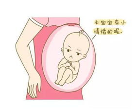 孕期做什么对胎儿发育有好处