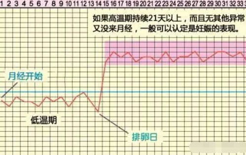 女性排卵期的症状表现有哪些