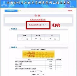 韶关初级会计职称报名网站