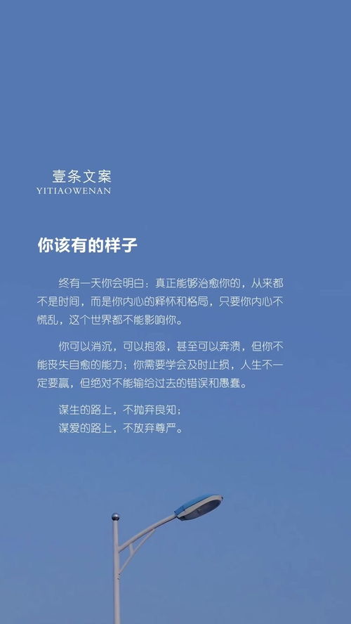 小众却高级的文案