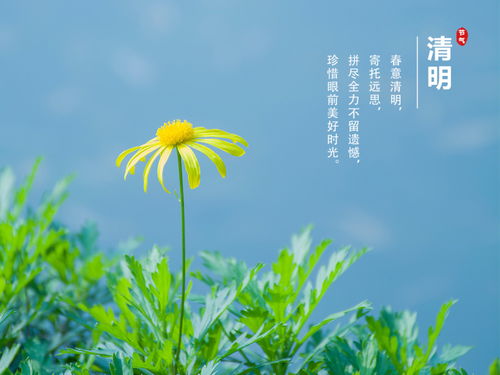 清明假期祝福短信