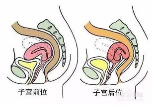 怎样怀孕几率高点