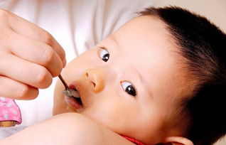 婴儿米粉怎么吃才合理