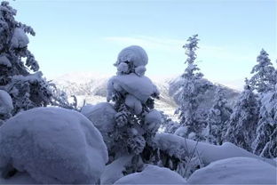 雪景文案短句干净治愈