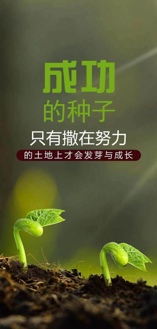 安慰朋友节哀顺变的短句