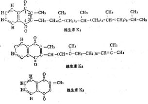 缺乏维生素k会导致什么疾病