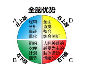 通过全脑开发全面提高宝宝的智商的方法