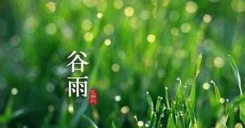 谷雨节气这天一定会下雨吗