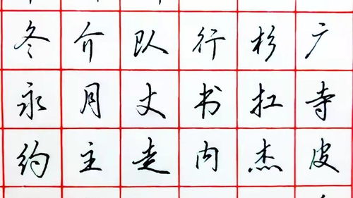 所有木字旁的字