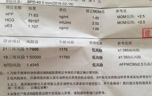 做肾功能检查是验血还是验尿