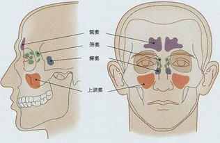 孕中期鼻炎鼻塞对胎儿影响有哪些症状