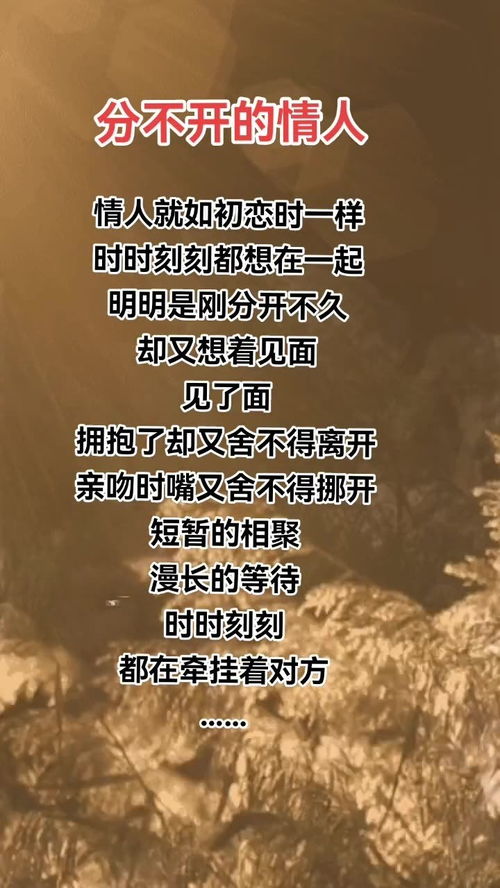 伤感的情感文案