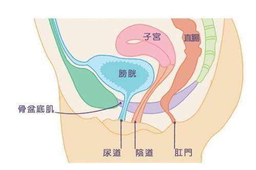 产后多久可以健身运动