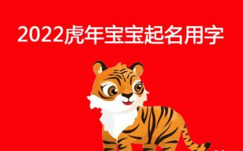 2022年虎宝宝名字女