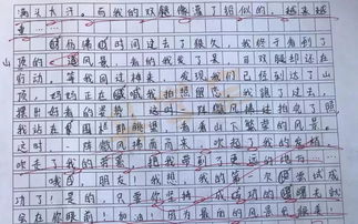 我的爸爸属老虎作文400字