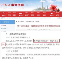 湛江咨询工程师报名网站