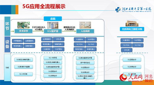 河北医科大学教务系统官网