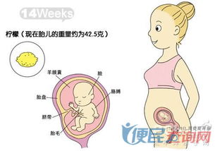 怀孕22周要注意什么