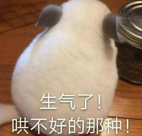 只怪自己瞎了眼说说