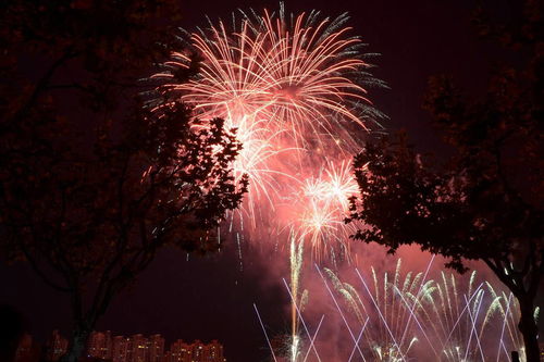 过年了，什么鞭炮和烟花比较好玩