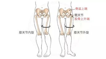 骨头的大小跟长高有什么关系？