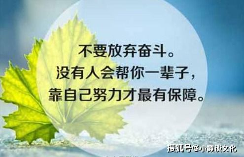 关于励志的名言及感悟