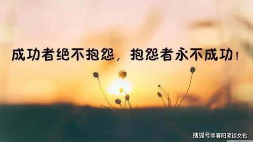 阳光正能量的句子经典语句