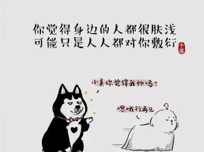 关于情人节的幽默短句