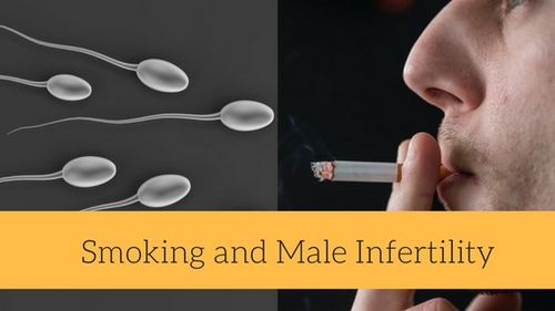吸烟对男性生育的影响有哪些