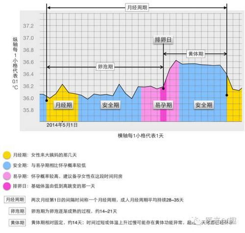 排卵期后基础体温忽高忽低怎么回事