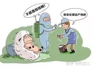 布鲁氏菌病反复吗