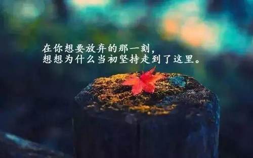 家里的花开了,怎么发朋友圈