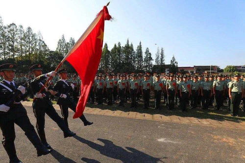 部队给退伍老兵祝福语一段话