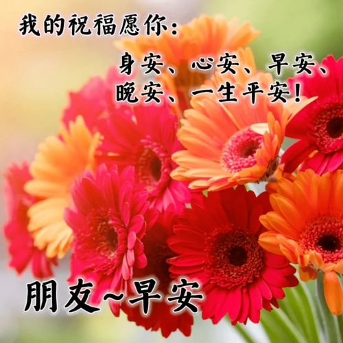 早上好祝福朋友语优美句子