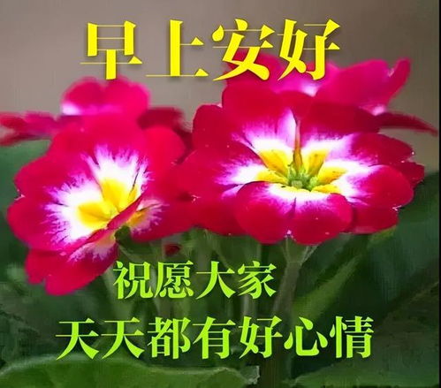 早上好祝福朋友语优美句子