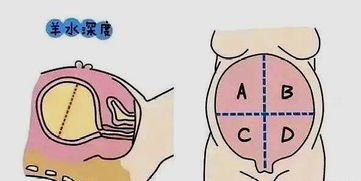 孕晚期羊水指数正常值范围