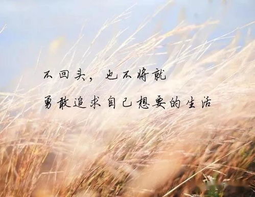 抖音上伤心的句子