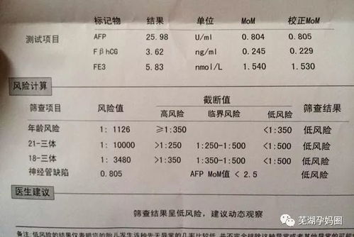 怀孕前别忘做风险评估