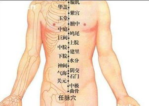 求人体穴道的图片和穴道的功能