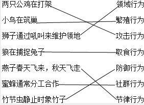 孕前生物节律调整