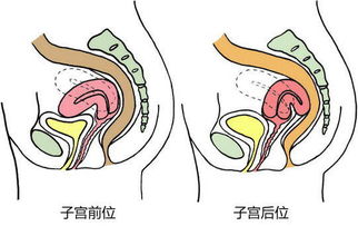 胎儿发育小是什么原因造成的