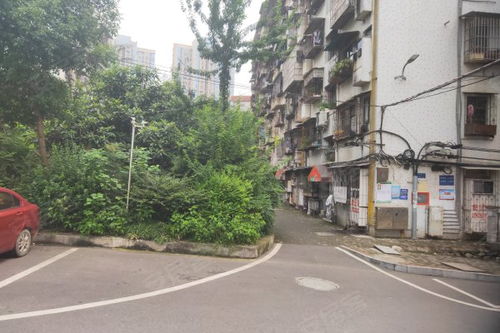 湖北宜昌市区有什么好的地段可以开服装店