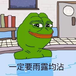 用宋小宝的用雨露均沾篇写一句话