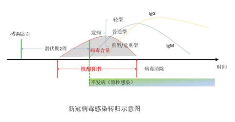 怀孕中期晚期是几周