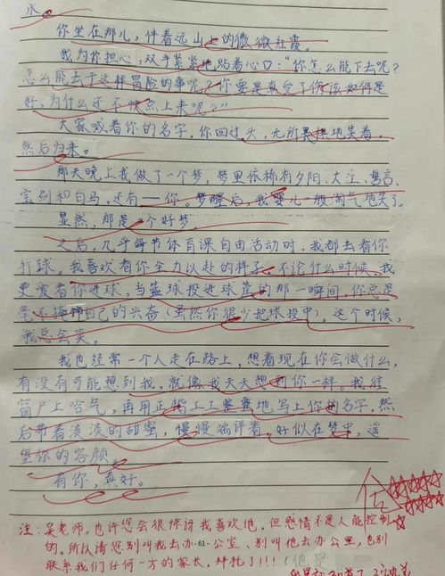 六年级习作七作文