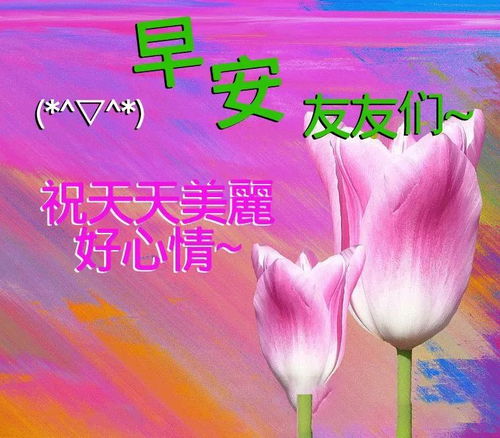 祝福父母的话语,句句暖人心